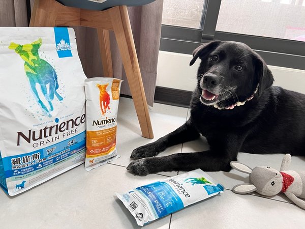 [寵物] Nutrience紐崔斯無穀養生飼料評價 八犬寵物