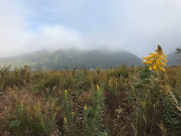 嵯峨野觀光鐵道 (9).JPG