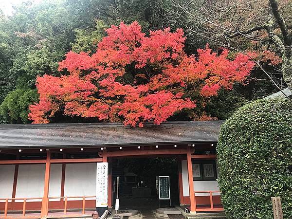 鞍馬寺 (39).JPG