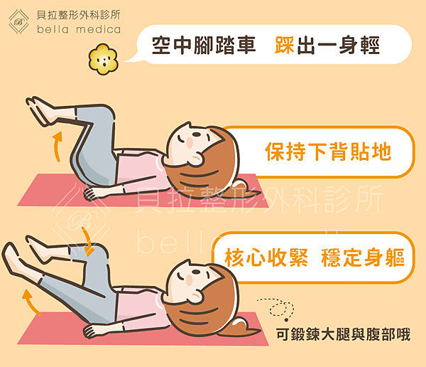 脂肪與肌肉04.png