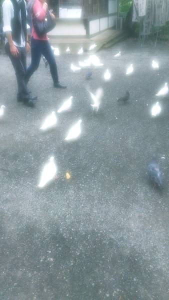 C360_2014-08-27-10-55-47-365