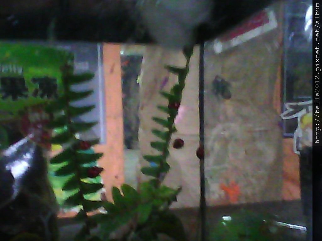 image20110527_114554.jpg