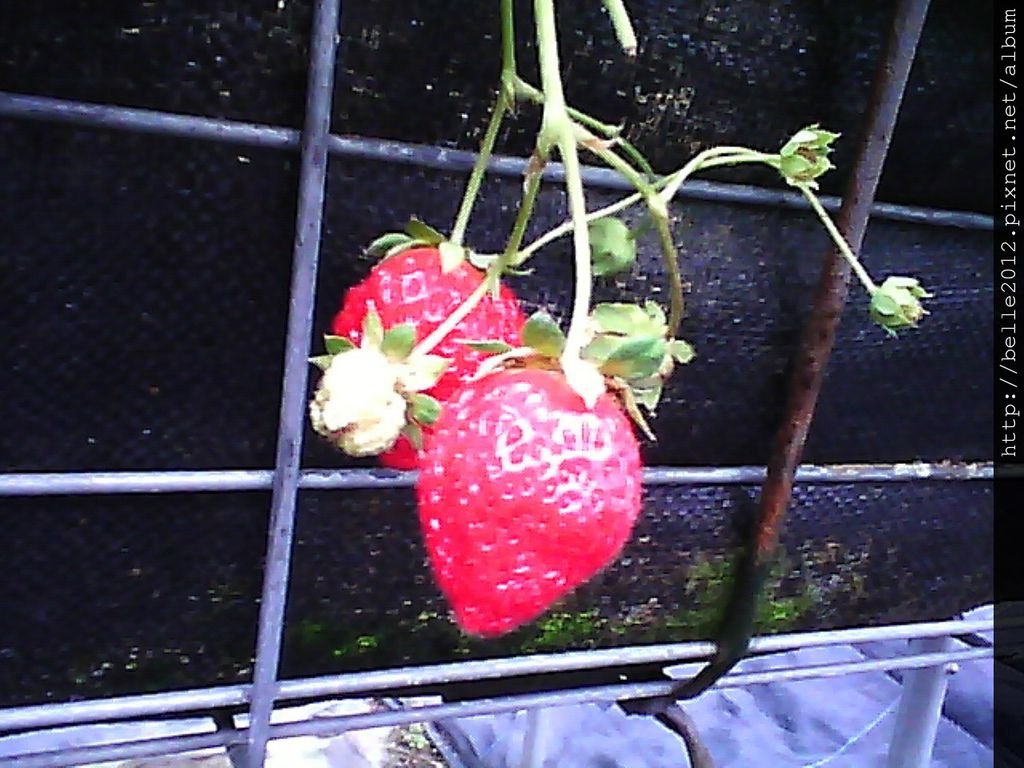image20110430_124546.jpg