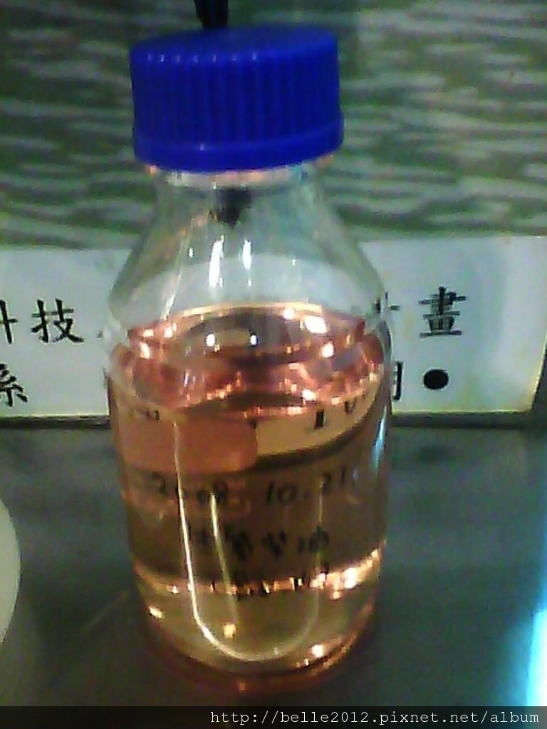 image20110527_102206.jpg