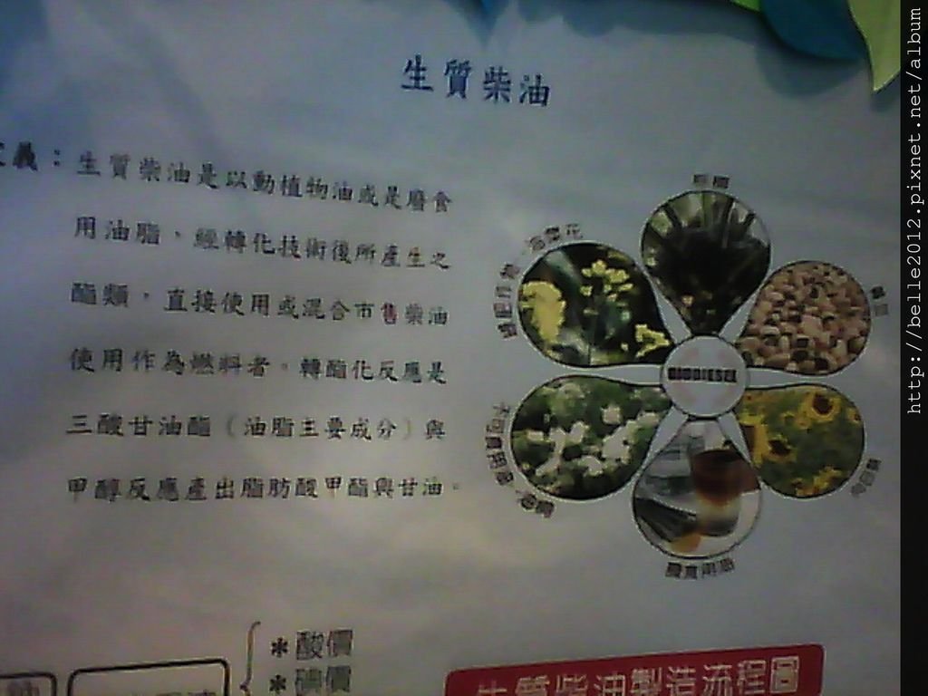 image20110527_102957.jpg
