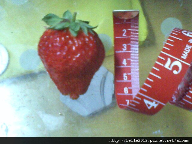 IMG0379A.jpg
