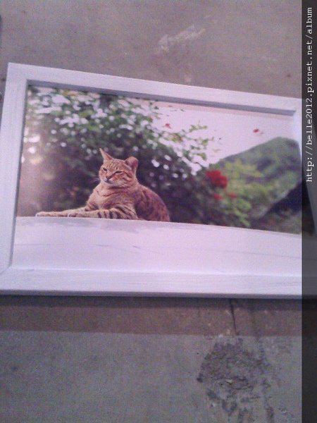 IMG0300A.jpg