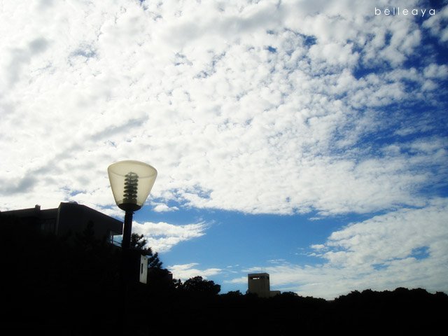 交通大學