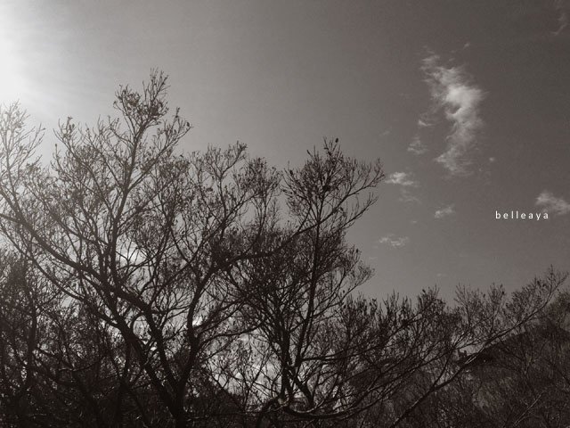 sIMG_2469.jpg