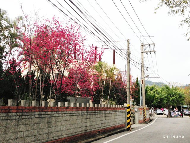 [台中] 東豐鐵馬道