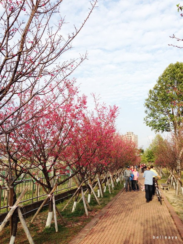 2015.02.22 台中市太平區麗園公園