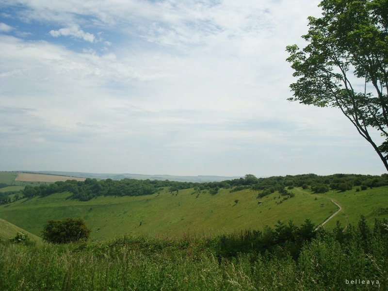 [英國] Devil&apos;s Dyke (下)