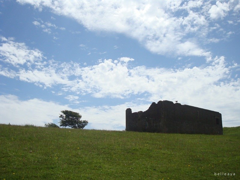 [英國] Devil&apos;s Dyke (下)