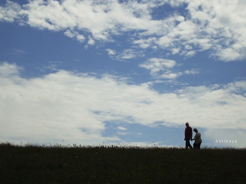 [英國] Devil&apos;s Dyke (下)