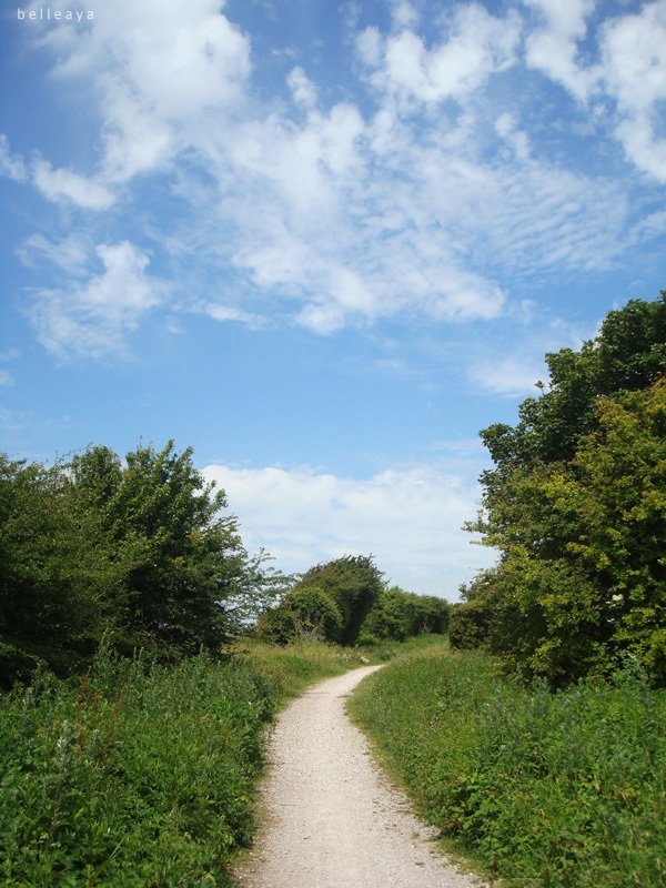 [英國] Devil&apos;s Dyke (下)