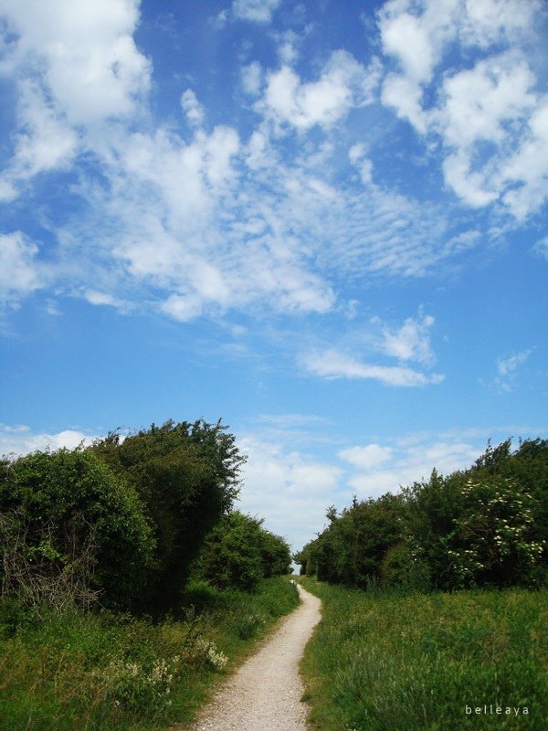 [英國] Devil&apos;s Dyke (下)