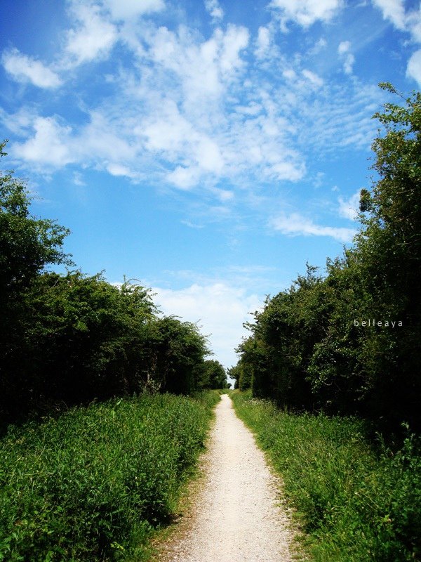 [英國] Devil&apos;s Dyke (下)