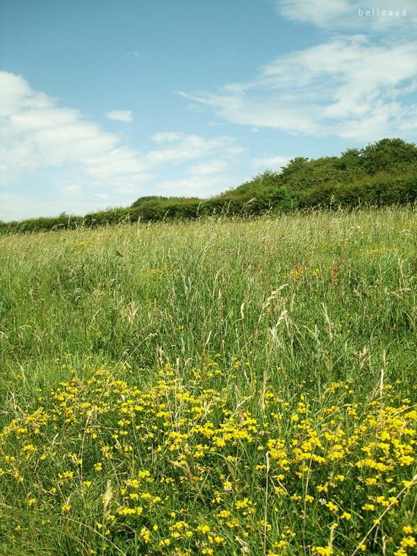 [英國] Devil&apos;s Dyke (下)