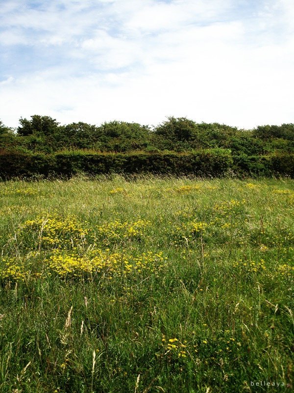 [英國] Devil&apos;s Dyke (下)