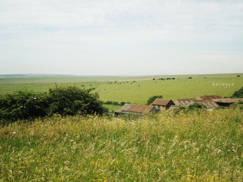 [英國] Devil&apos;s Dyke (下)