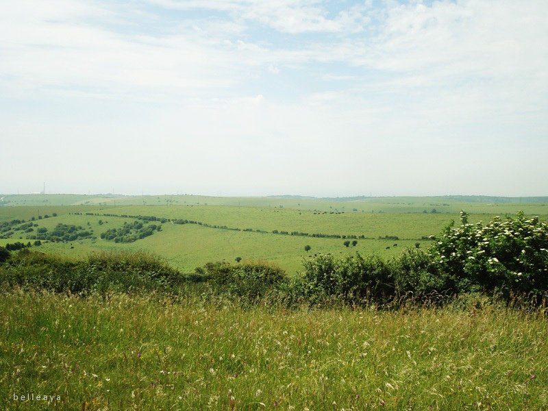 [英國] Devil&apos;s Dyke (下)