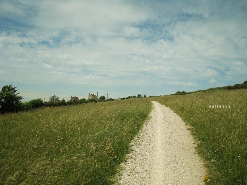 [英國] Devil&apos;s Dyke (下)