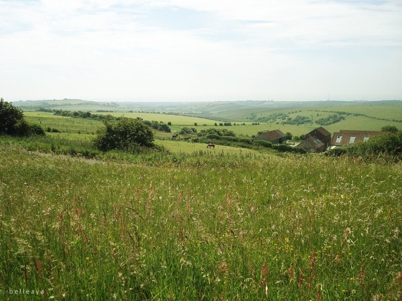 [英國] Devil&apos;s Dyke (下)