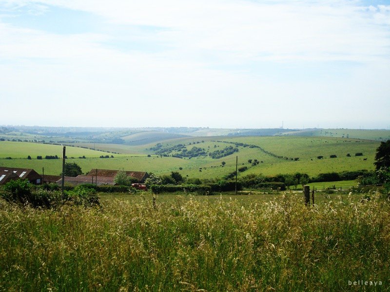 [英國] Devil&apos;s Dyke (下)