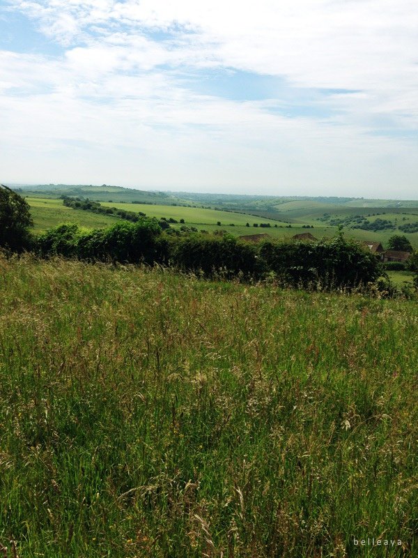 [英國] Devil&apos;s Dyke (下)