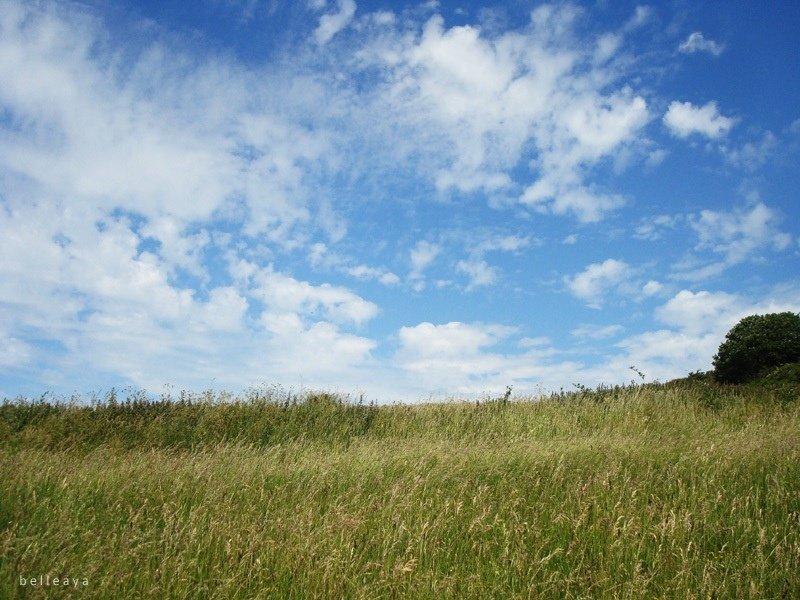 [英國] Devil&apos;s Dyke (下)