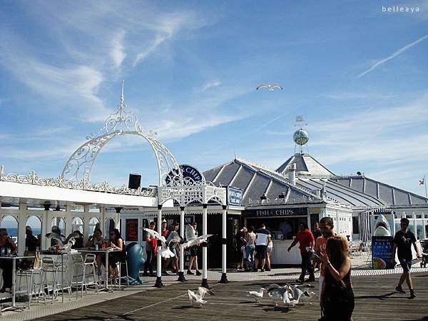 [英國] Brighton Pier