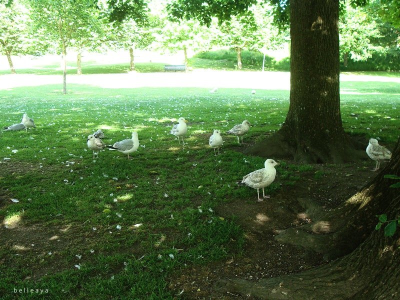 [英國] 布萊頓 Queen&apos;s Park