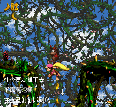 大金剛二代