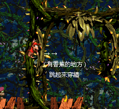 大金剛二代