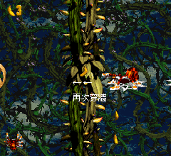 大金剛二代