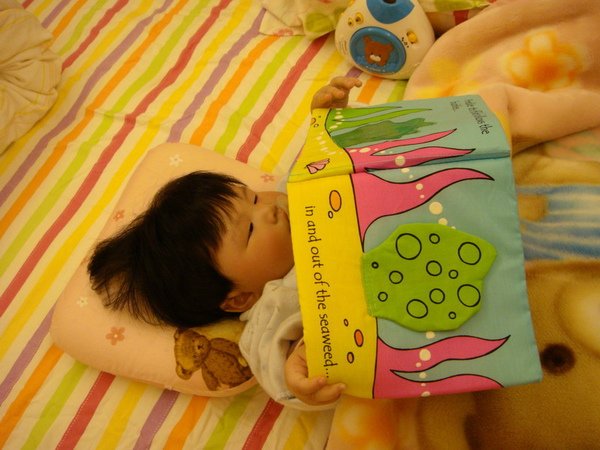 20100210_09.JPG