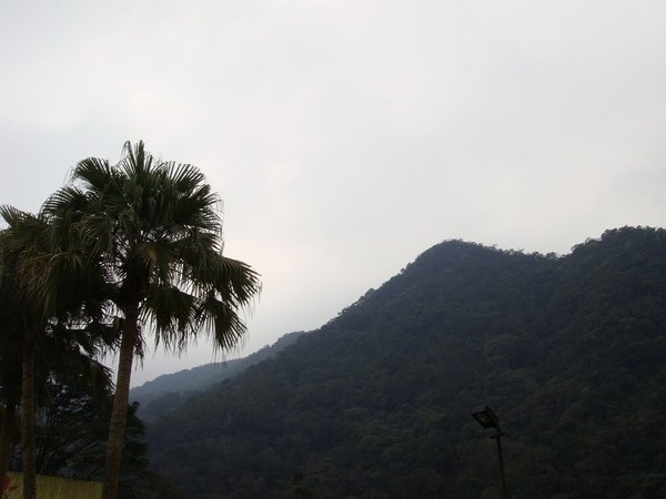 20100221_02.JPG
