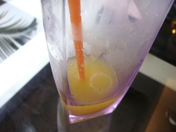 20100221_04.JPG