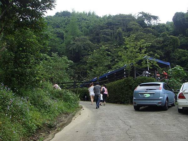 花岩山林_05.JPG