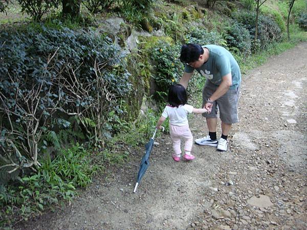 花岩山林_10.JPG