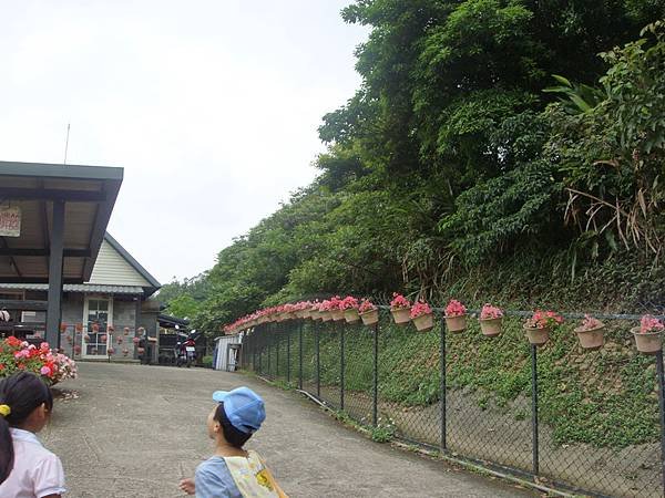 春天農場_15.JPG