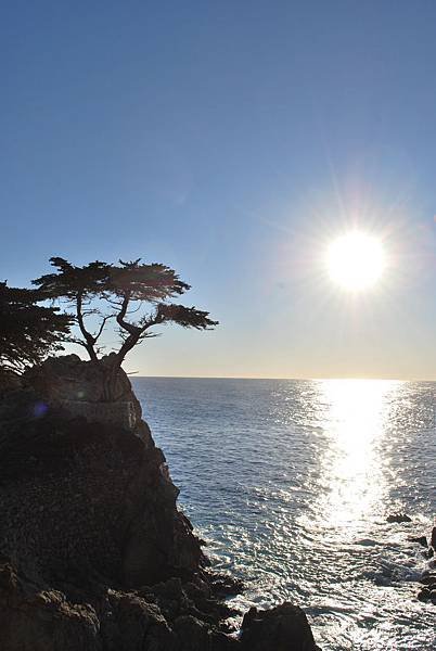 我在十七哩蔚藍海岸旁，聽海高歌 17-Mile Drive