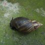 DSC00840.JPG