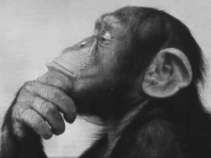 the 100th  monkey(autismhangout.com).jpg
