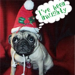 pugsanta1edit(by findstuff22 )photobucket.jpg