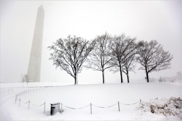 Luke Sharrett (The New York Times).bmp