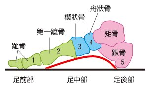 (照片提供／科學人).jpg