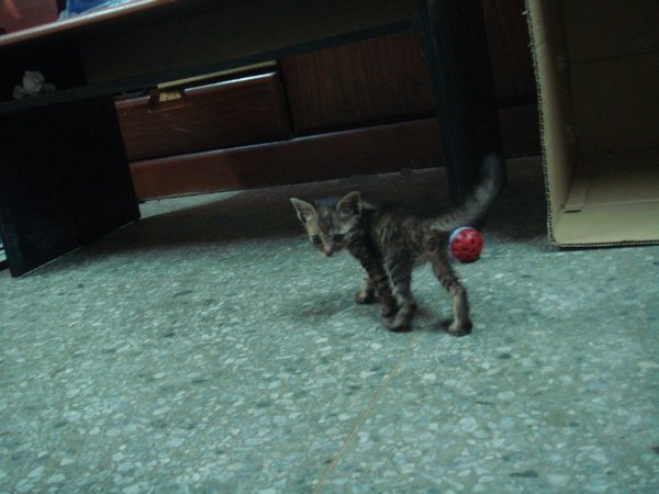 DSC00140.JPG