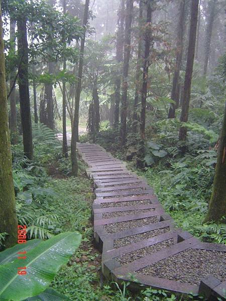 新竹五指山0603
