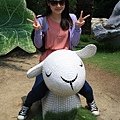 IMG_5530